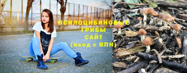 ECSTASY Осинники