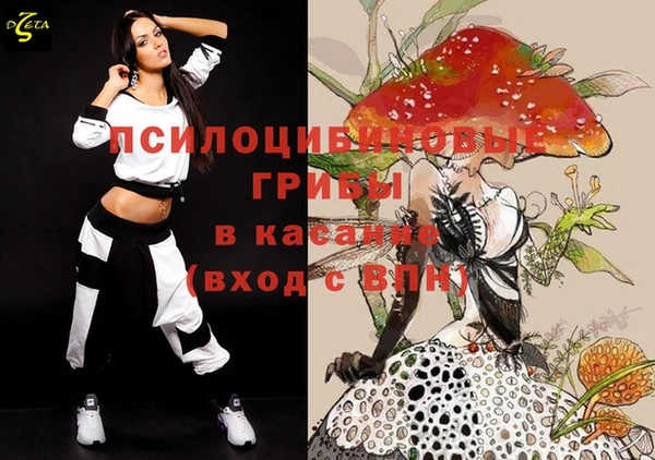 ECSTASY Осинники