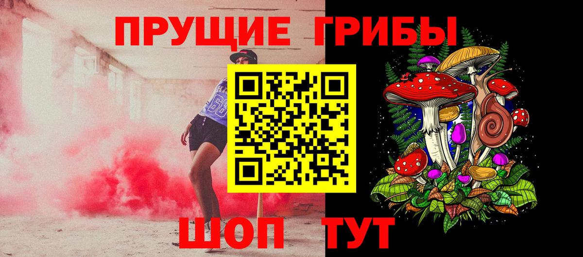 Кувандык  Псилоцибиновые грибы Psilocybe  Вход с VPN 